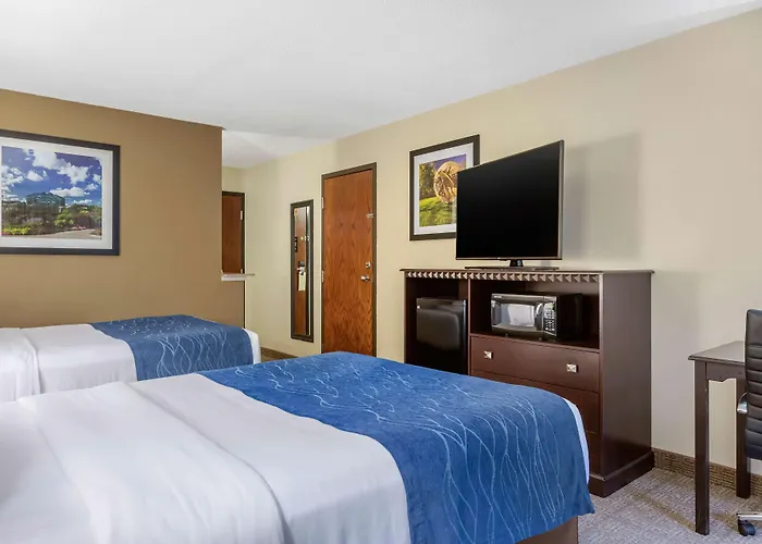 Comfort Inn Grand Rapids Airport